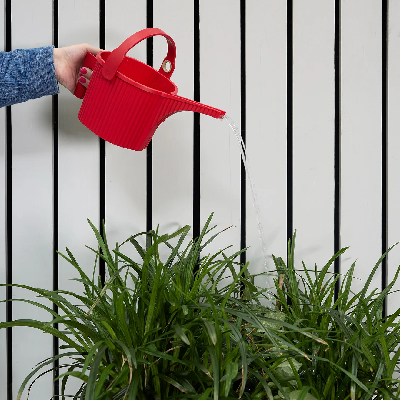Hachiman Watering Cans - Red - Image 7