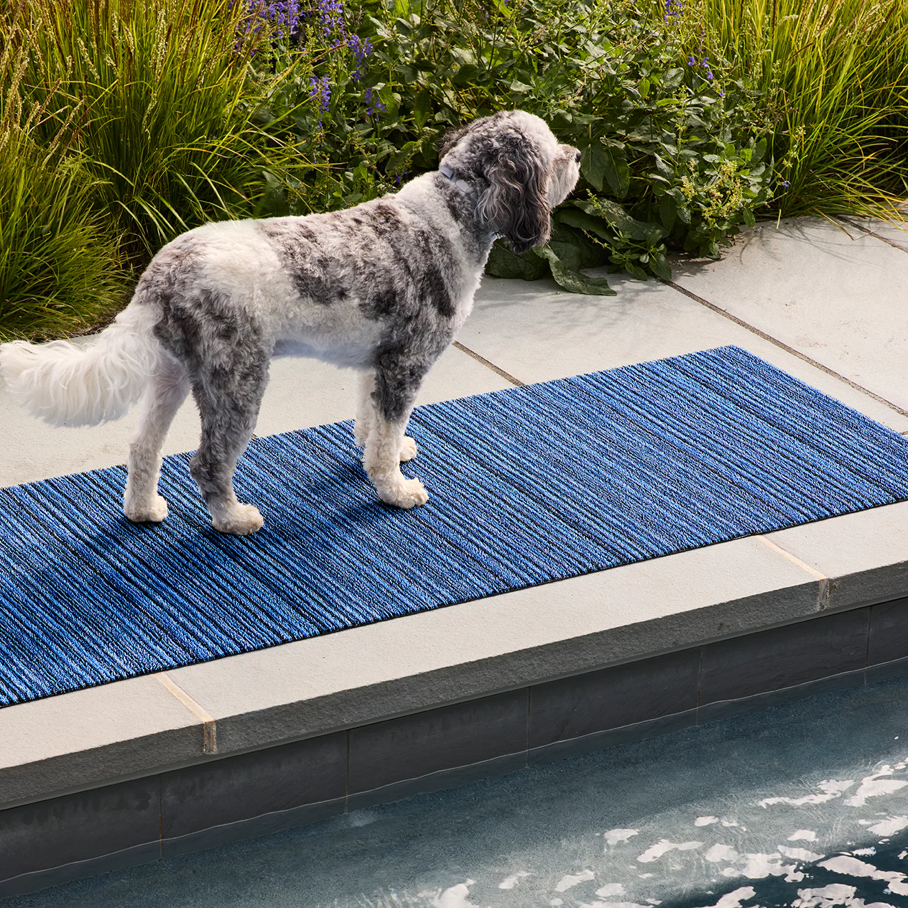 Skinny Stripe Shag Mats - Ocean - Image 3